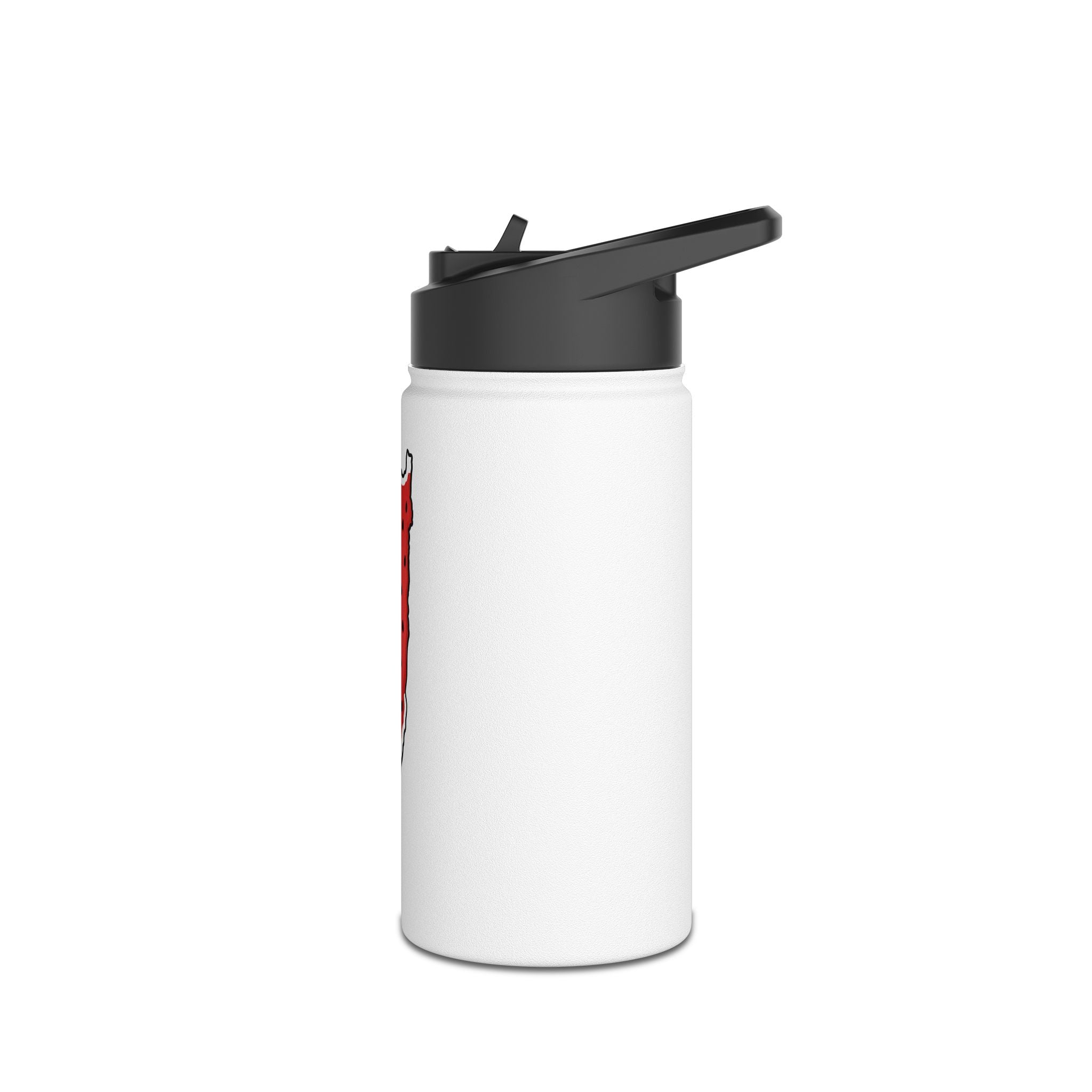 Stainless Steel Watermelon Bottle
