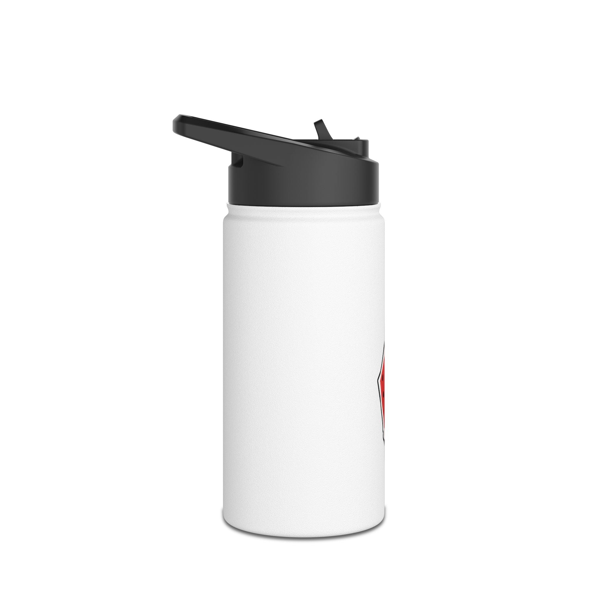 Stainless Steel Watermelon Bottle